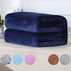 Manta Soft Microfibra Antialérgica para Inverno